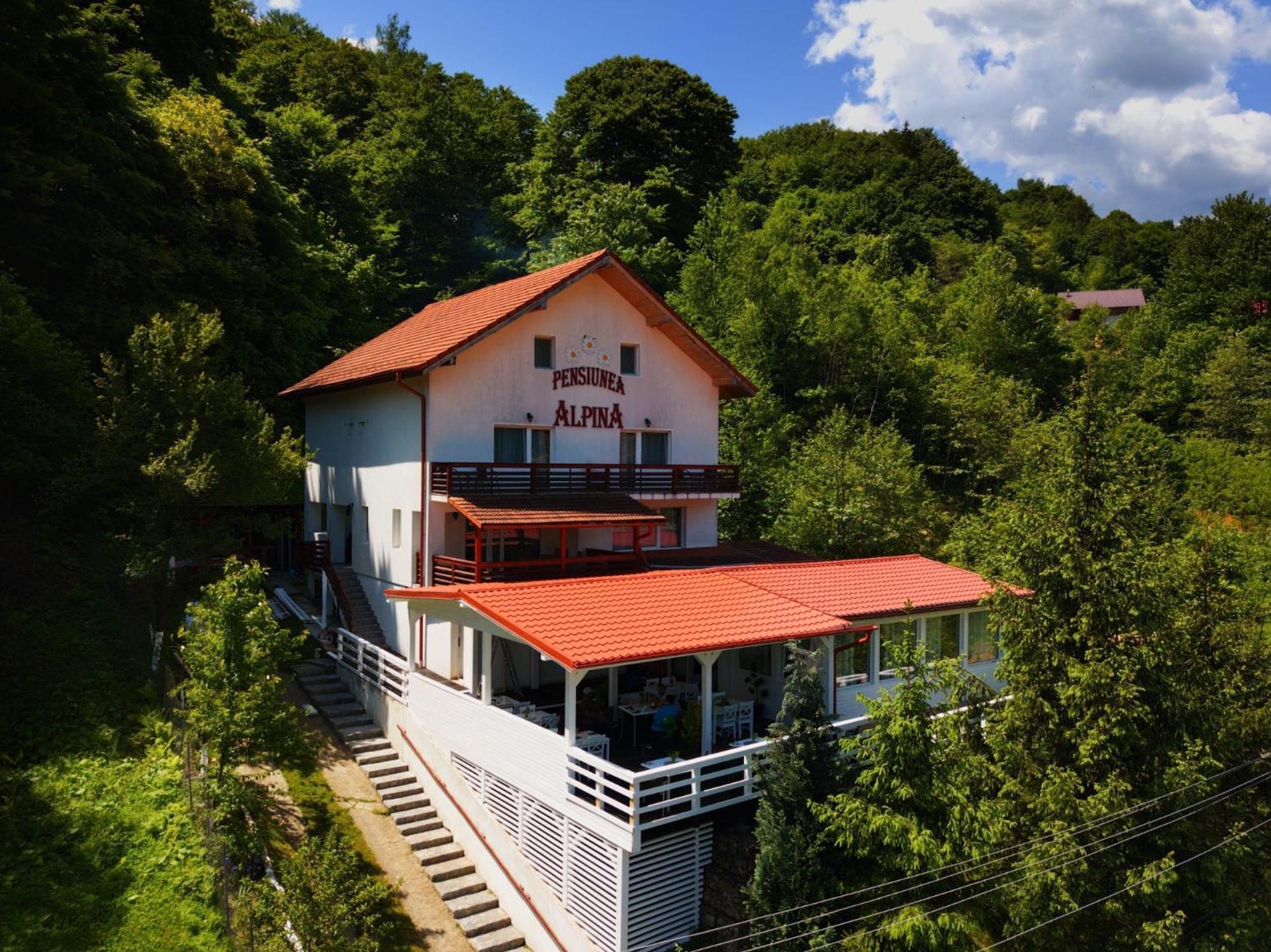 Pensiunea Alpina Hotel Malaia Exterior photo