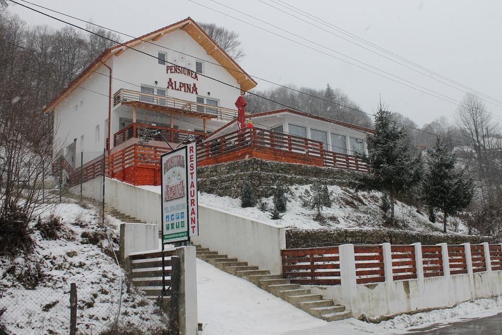 Pensiunea Alpina Hotel Malaia Exterior photo